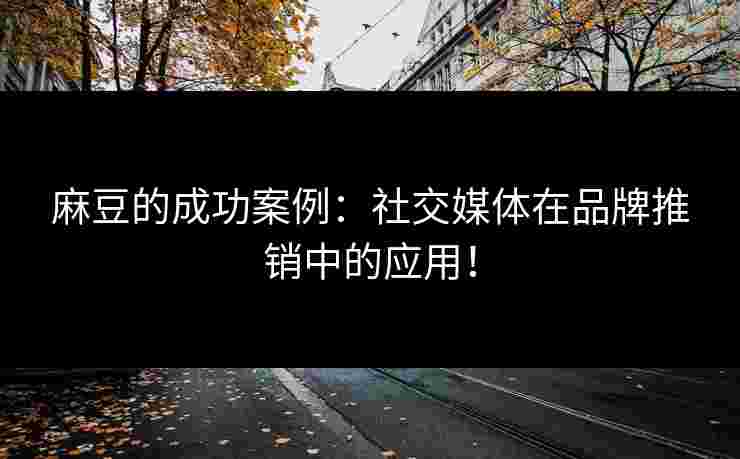 麻豆的成功案例:社交媒体在品牌推销中的应用!
