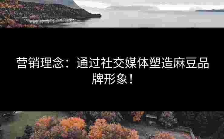营销理念：通过社交媒体塑造麻豆品牌形象！