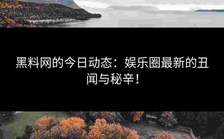 黑料网的今日动态：娱乐圈最新的丑闻与秘辛！